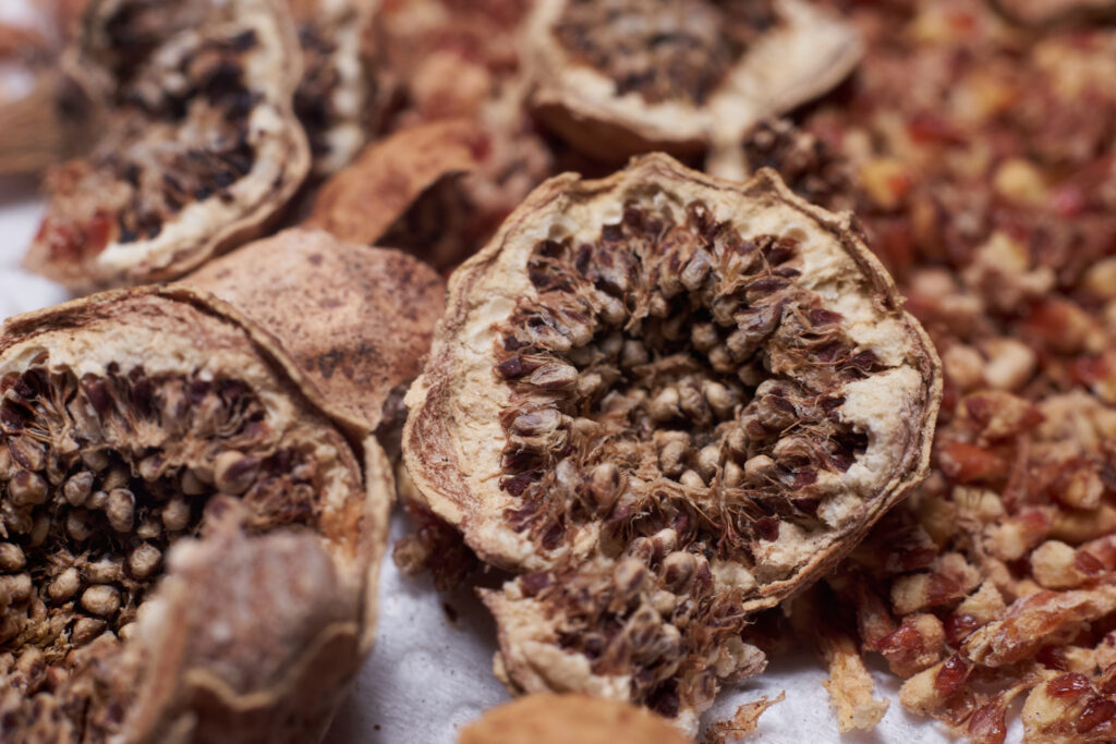 Opened figs and the seeds of Ficus macrophylla
